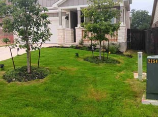 Sophia G.'s lawn care service result