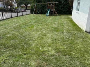 Tori Z.'s lawn care service result