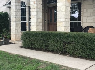 Dominique N.'s Bush Trimming service result