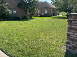 Kia W.'s lawn service service result