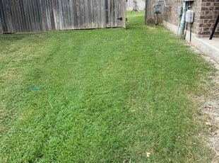 Paula B.'s grass cutting service result