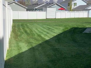Irene C.'s lawn service service result
