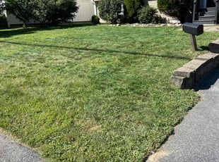 Wilbur H.'s grass maintenance service result