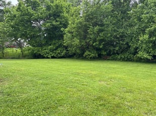 Kailey A.'s grass maintenance service result