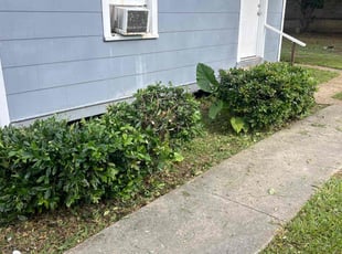 Anthony L.'s Bush Trimming service result