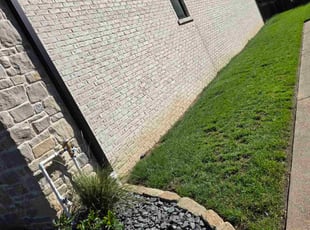 Taryn S.'s lawn care services service result