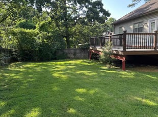 Todd F.'s lawn maintenance service result