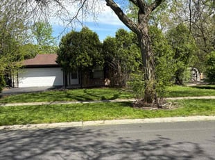 Angelia B.'s residential landscaping service result