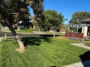 Erica C.'s lawn maintenance service result