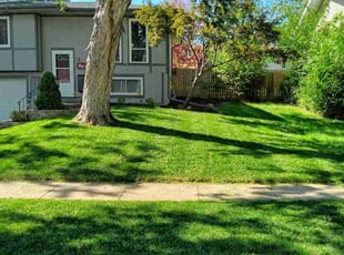 Stacey A.'s lawn maintenance service result