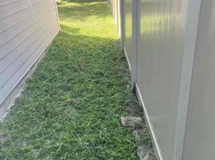 Priyanka M.'s lawn maintenance service result