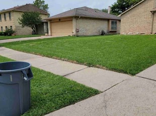 Jay P.'s lawn care service result