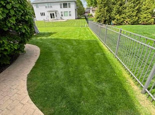 Brenda O.'s lawn care service result