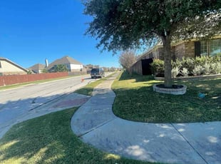 Ron P.'s lawn maintenance service result