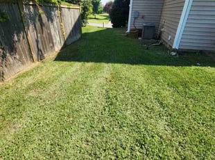 Robert O.'s lawn care services service result