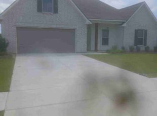 Ilia F.'s lawn maintenance service result