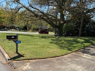 lee r.'s lawn maintenance service result