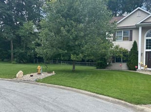 Eric H.'s lawn care service result