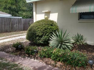 Michael L.'s Bush Trimming service result