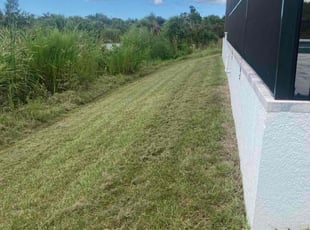 Yolanda R.'s lawn service service result