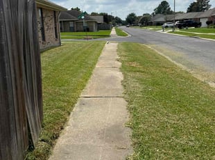 Olivia M.'s lawn care services service result