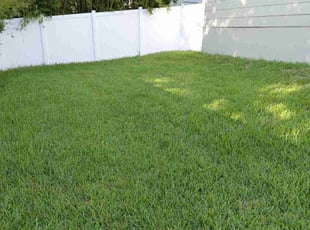 Maddison K.'s lawn maintenance service result