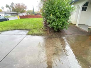 William H.'s Custom service service result