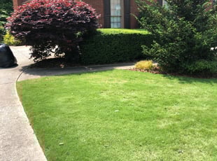 James G.'s Bush Trimming service result