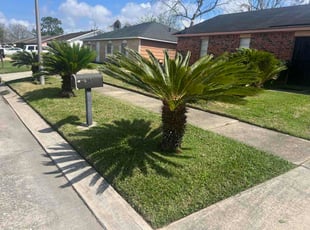 Sherry S.'s lawn service service result