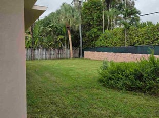 Juaquin C.'s lawn maintenance service result