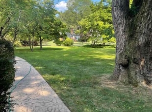 Georgianne G.'s lawn care services service result
