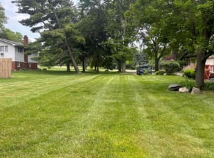 Dhaval L.'s lawn care services service result