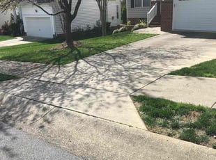 Corine M.'s lawn care service result