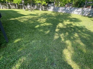 Desmon T.'s lawn service service result