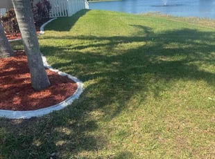 Gala H.'s grass maintenance service result