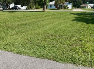 Christyl S.'s grass cutting service result