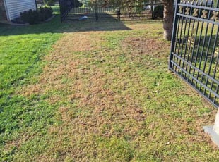 Henry S.'s lawn service service result