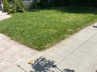 Teresa S.'s turf maintenance service result
