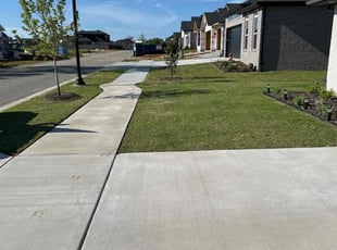 Casey S.'s grass cutting service result