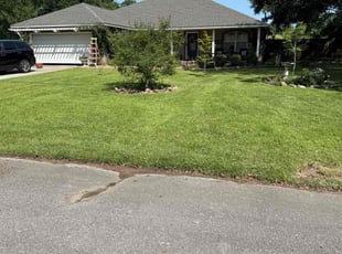 Immacula C.'s turf care service result