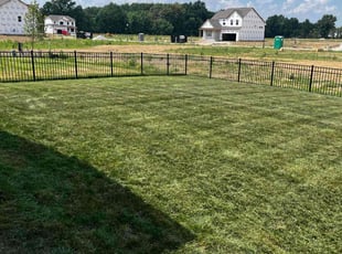 Gineen J.'s lawn care service result