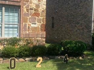 Vivian G.'s yard maintenance service result