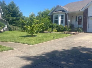 Tania H.'s landscape maintenance service result