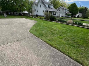 Jill H.'s turf care service result