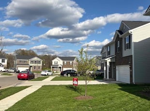 Robert C.'s grass cutting service result