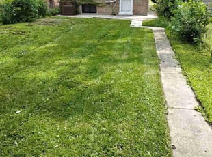 Sheree A.'s grass cutting service result