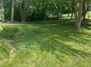 Jim M.'s turf maintenance service result