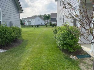 Justin K.'s turf maintenance service result