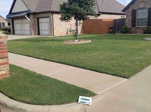 Rico H.'s lawn maintenance service result