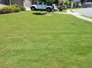 Albert C.'s turf care service result